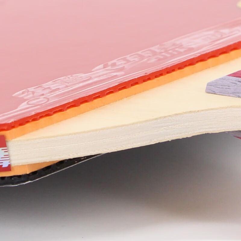 Double Happiness 4-Star Double Inverted Table Tennis Racket