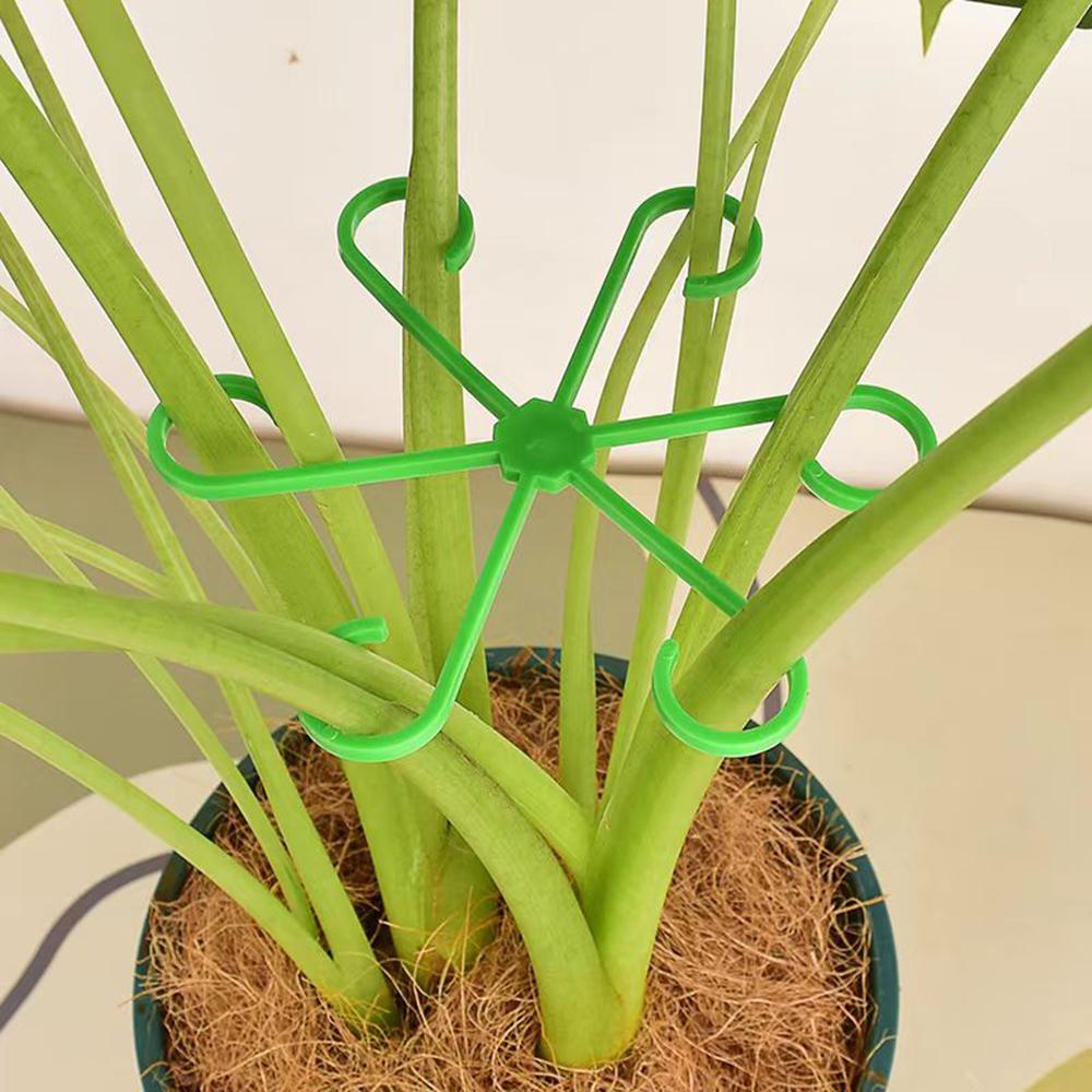 4 Stück Pflanzenbefestigungsklammern, Pflanzenkletterstützrahmen, Blumenstammsammelrahmen für Gemüsegarten, Obstgarten, Gartenhof