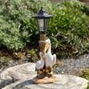 Waterproof Garden Solar Light Yard Art Lighting Landscaping Decoration Decor
