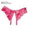 Panties Crotch Opening Low Waist Nylon Hollow Lace See-through Thong for Valentine's Day