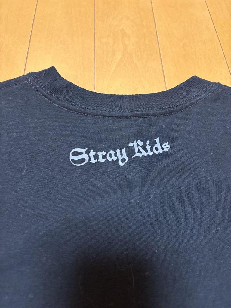 [USED] Stray Kids dominATE JAPAN T-shirt, size M, black