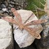 Metal Animal Sculptures Ornaments Creative Art Dragonfly Decorations Garden Pendant  Bedroom