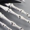 1PC Plastic Skull Hand Hairpin Secure Grip For Halloween Costumes Themed Event And Creative Outfit Styling