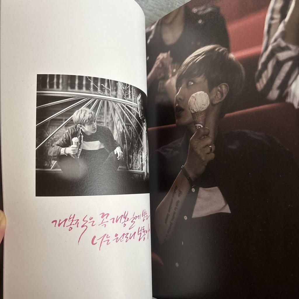 [USED] EXO Photobook Baskin-Robbins Collaboration