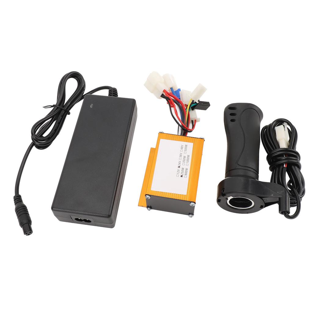 Elektrische Fiets Controller Kit Professioneel 24V 250W Kleur Goud Geborstelde Controller 10A Lader