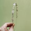 Pearl Rhinestone Flower Hairband Elegant Bow Crystal Tiaras Bridal Princess Crown  Birthday Party