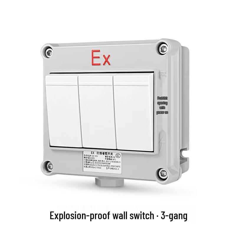 SD'ZM Explosion-Proof Wall Switch