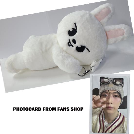Stray Kids SKZOO Plüschtasche celebrATE ( mit POB von FANS)