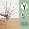 Long Stems Willow Sprout Plants Floating Branch Green Plum Bouquet Willow Plum Branch  Homestay