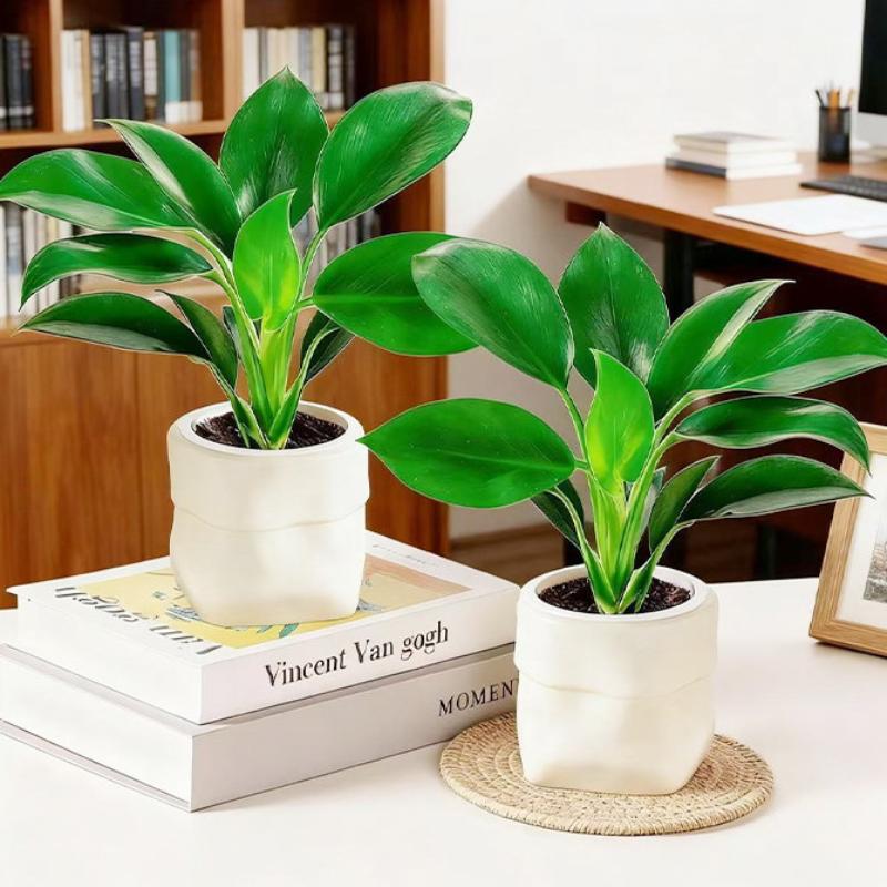 Mini Self Watering Flower Pot Fish Tank Plastic Plant Pots Self Watering Planter Pot Vase For Home Decoration