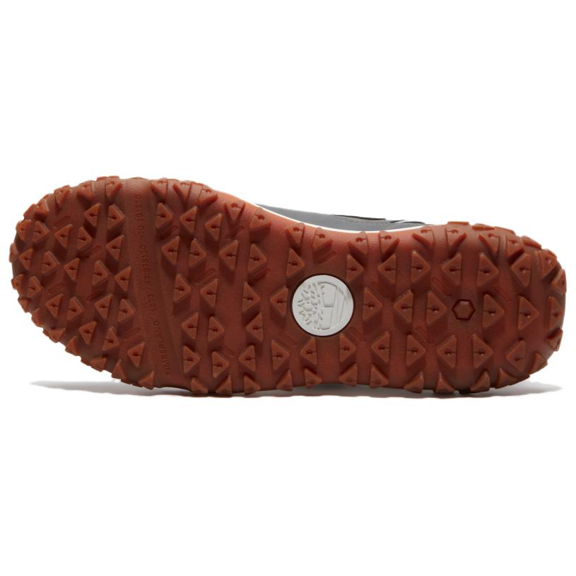 Timberland Men's Motion6 Low Waterproof Hiking Shoe TB0A6BZWEL81