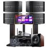 SANSUI FK101 Home KTV Karaoke Audio System (CN Version)