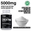 Pslalae Micronized Creatine Monohydrate Capsules, High Purity, Fitness, Sports, Dietary Supplement