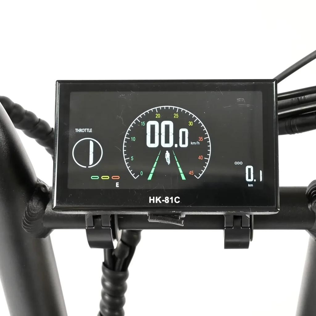 BAOLUJIE DP2033 Electric Bicycle 2000W Dual Motor 48V30AH Lithium Battery 20*4 Inch Fat Tire Mountain Electric Bike