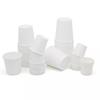 Miao Jiayi Disposable Tasting Cups