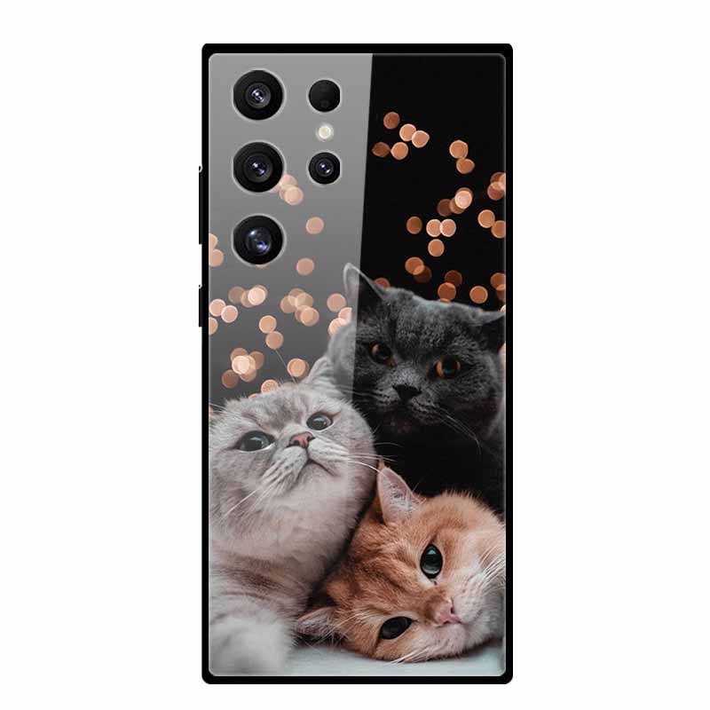 Tempered Glass Case For Samsung S25 Ultra Case Fashion Protect Hard Back Cover for Samusng S24 5G Cover Shockproof Coque S24Plus