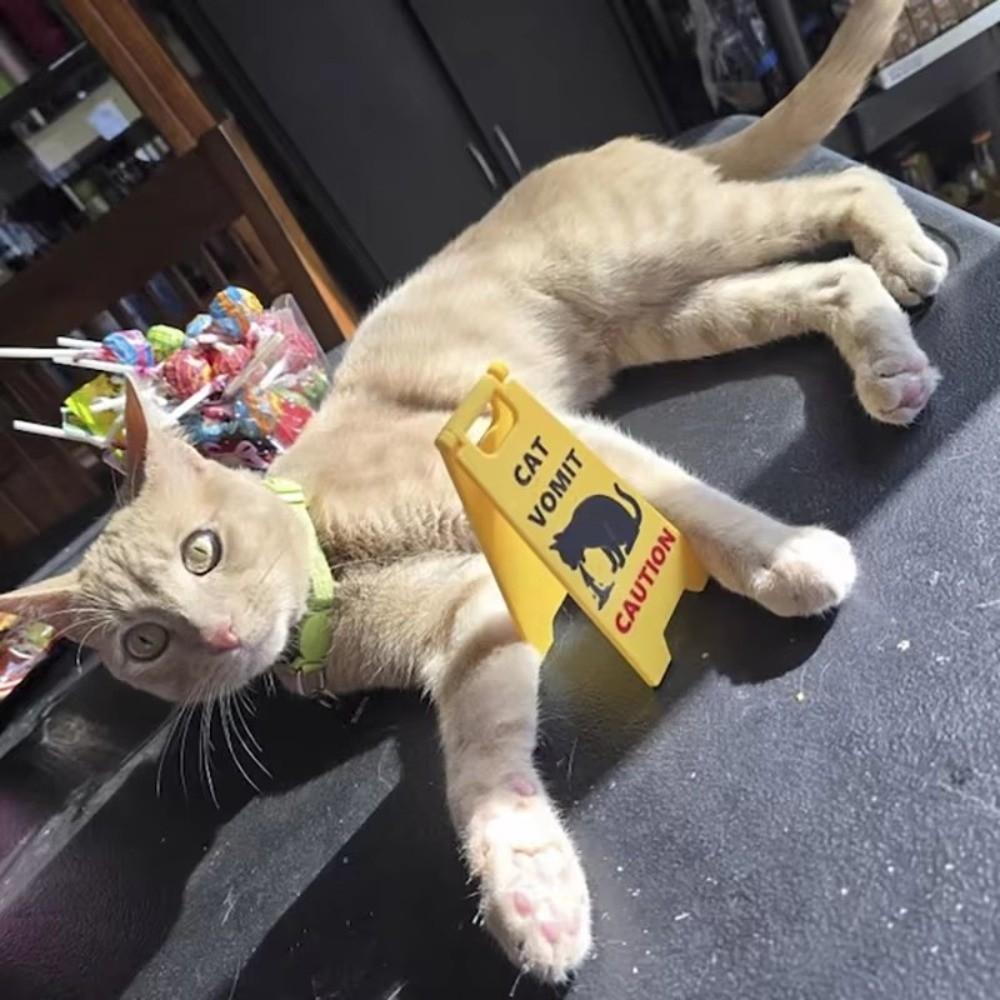 Funny Mini Cat Poop Signs ABS Bright Yellow Caution Overstimulated Desk Sign Cat Vomit Signs Ornaments Humorous Cat Decor