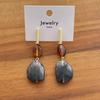 Irregular Color Resin Earrings Geometric Trendy Women Jewelry