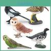 Realistic Pvc Bird Model Collection Featuring Colorful Parrots Owls And Magpies For Home Decor