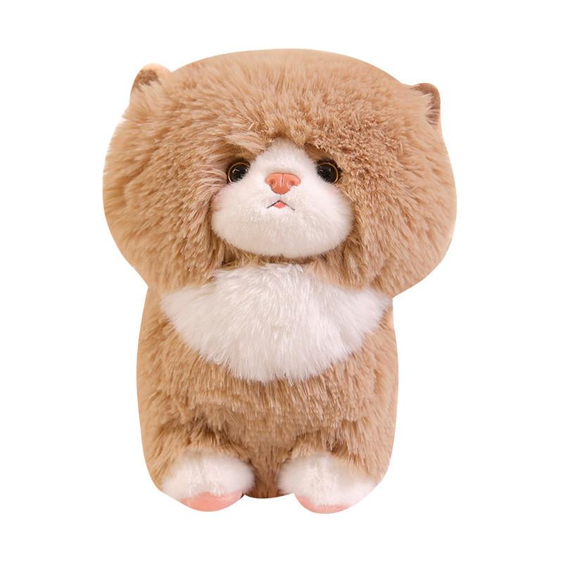 

Cat Ragdoll Cute Cartoon Plush Toy Pillow Bedroom Decor Children Giving Gift