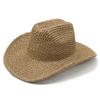 New Spring and Summer Sunscreen Visor Hat Casual Personalized Straw Weaving Western Cowboy Hat Rolled Brim Hollow Straw Hat