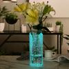 Luminous Luxury Starry Sky Glass Vase Hydroponic Flower Arrangement Lucky Bamboo Dried Flowers Simple Fashion