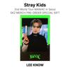 Stray Kids 2nd World Tour MANIAC in Seoul SKZ MERCH PRE-ORDER SPECIAL GIFT Official Photocard
