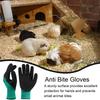 Guantes Resistentes a Mordeduras para Mascotas Guantes Engrosados Antiarañazos para Protección de Manos Asistente de Entrenamiento para Mascotas Para Gatos Perros Ardillas Hámsteres