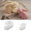 Food Grade Moulds Silicone Rabbit Mold Silicone Texture Perfect for Decorations Crafting and Holiday Party Supplies