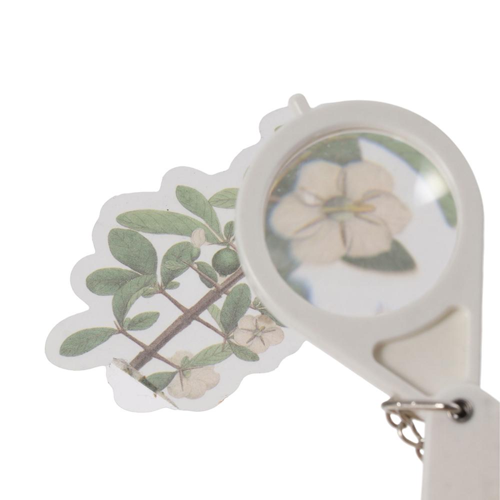 Clear High Definition Reader Portable Flexibility Magnifying Glass Keychain Fold Reading Tools Older