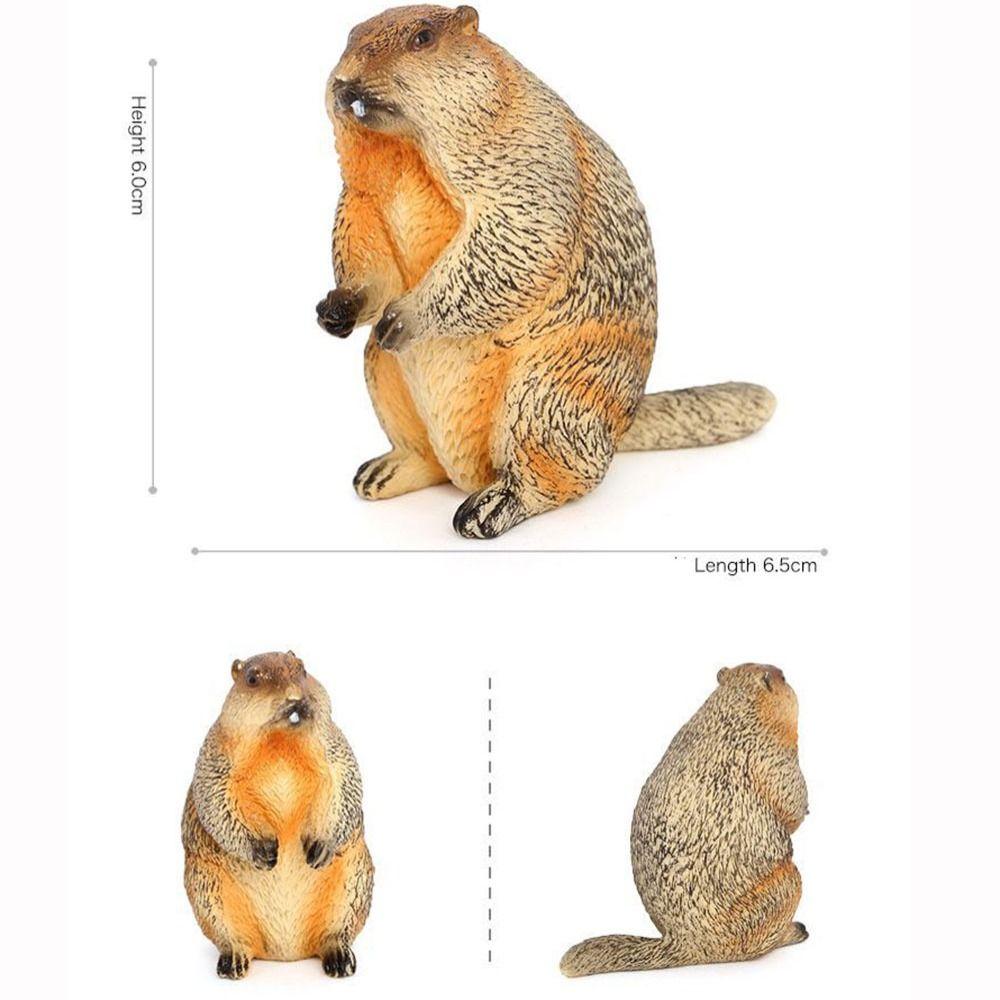 PVC Wild Animal Figurine Marmot Plastic Groundhog Ornament Realistic Animal Ornament  Office