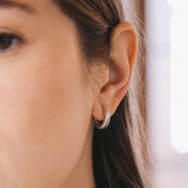 WorthWord [925 Silver] Aorr Earrings_2 Colors (3 Size)