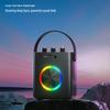 Newmine K519 Portable Bluetooth Karaoke Speaker CN plug (adapter included)