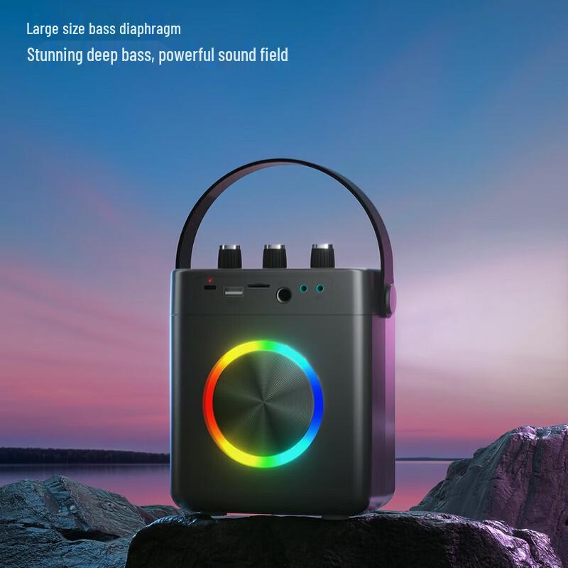 Newmine K519 Portable Bluetooth Karaoke Speaker CN plug (adapter included)