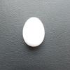 50/20/10pcs Simulated Pigeon Eggs Filled Solid Plastic Simulated Fake Eggs Racing Pigeon Hatching Supplies Bird Breeding Tools