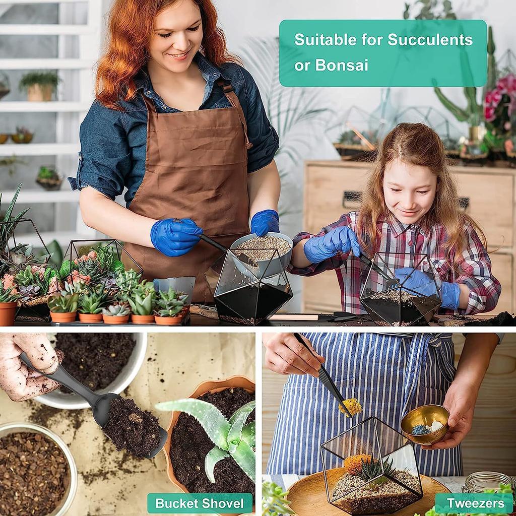 Sada stromků bonsají, sada nástrojů na bonsaje, sada sukulentů, sada 16 kusů, sada zahradního ručního nářadí