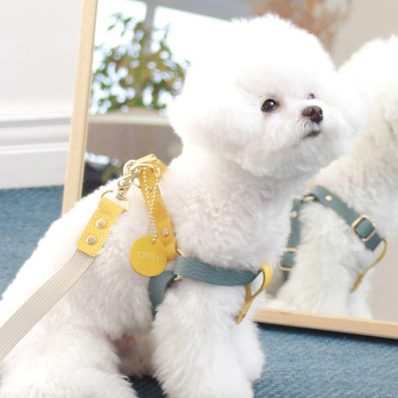 MAISON DE MIU Running Mate Harness_Indian Blue/Yellow