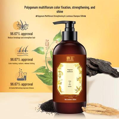 Bawang Shouwu Hair Strengthening & Oil Control Shampoo