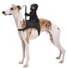 Creative Dog Costume Funny Dog Saddle Costume Anime Cosplay Halloween Pet Costume  Festival Outfits