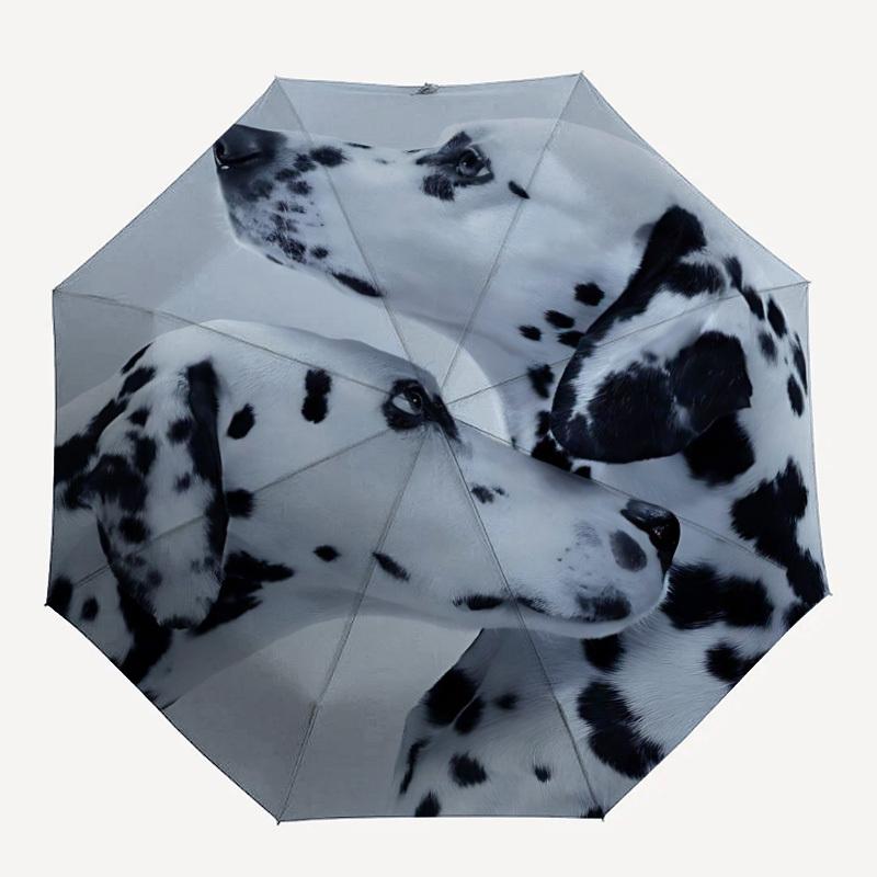 1pc Dalmatian Automatic Open/Close Umbrella 8-Rib Strong Frame, Portable Travel Umbrella for Women & Men, Birthday Gift Parties 023