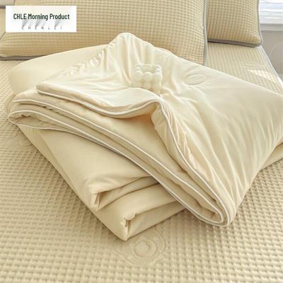 Chenlei Summer Cool Washable Quilt