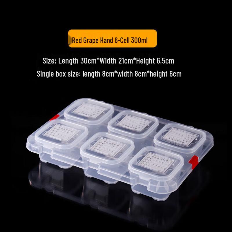 Пятисекционная коробка для хранения образцов еды