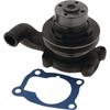 Case IH Water Pump 74702108 GRANITE 703820R97 B512669 3065132R93