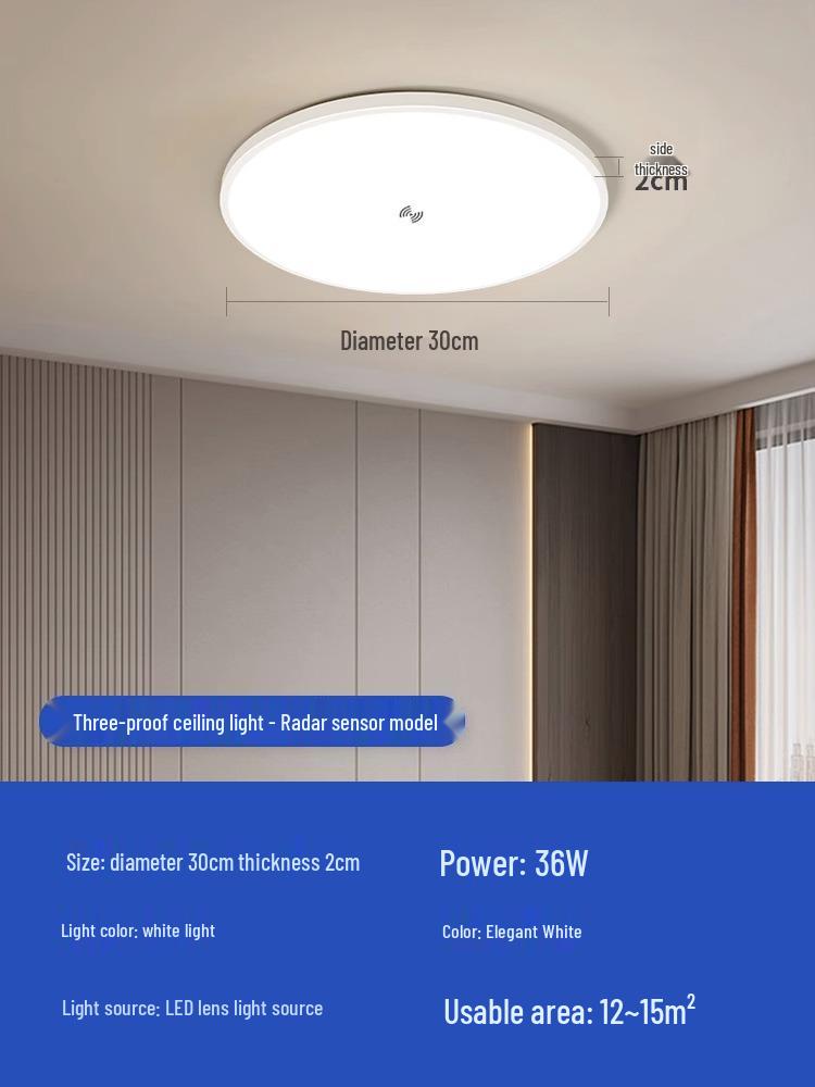 Smart Radar Sensor Ceiling Light with Voice Control for Balcony, Corridor, Stairwell, Hallway