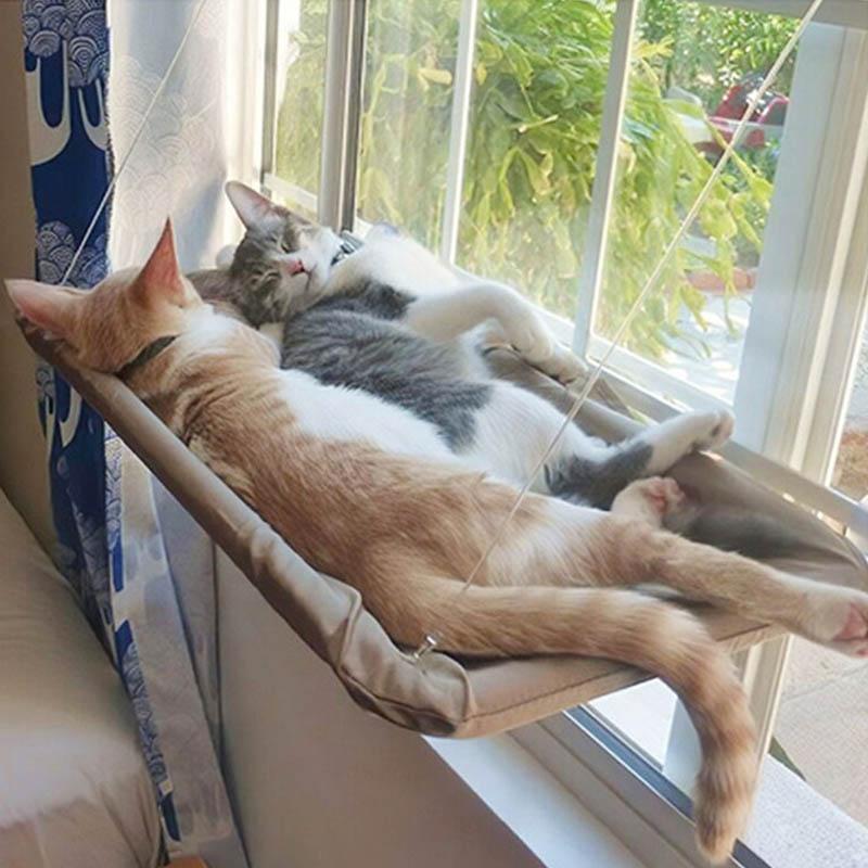 Haustier Katzen Hängematte Kätzchen Klettergerüst Hängendes Katzenbett Saugnapf Bett Haus Abnehmbare Fenster Hängematte Leicht zu reinigende Katze