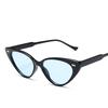 Vintage Cat eye Sunglasses Women Sexy Retro Small Cat Eye Sun Glasses Brand Designer Colorful Eyewear For Female