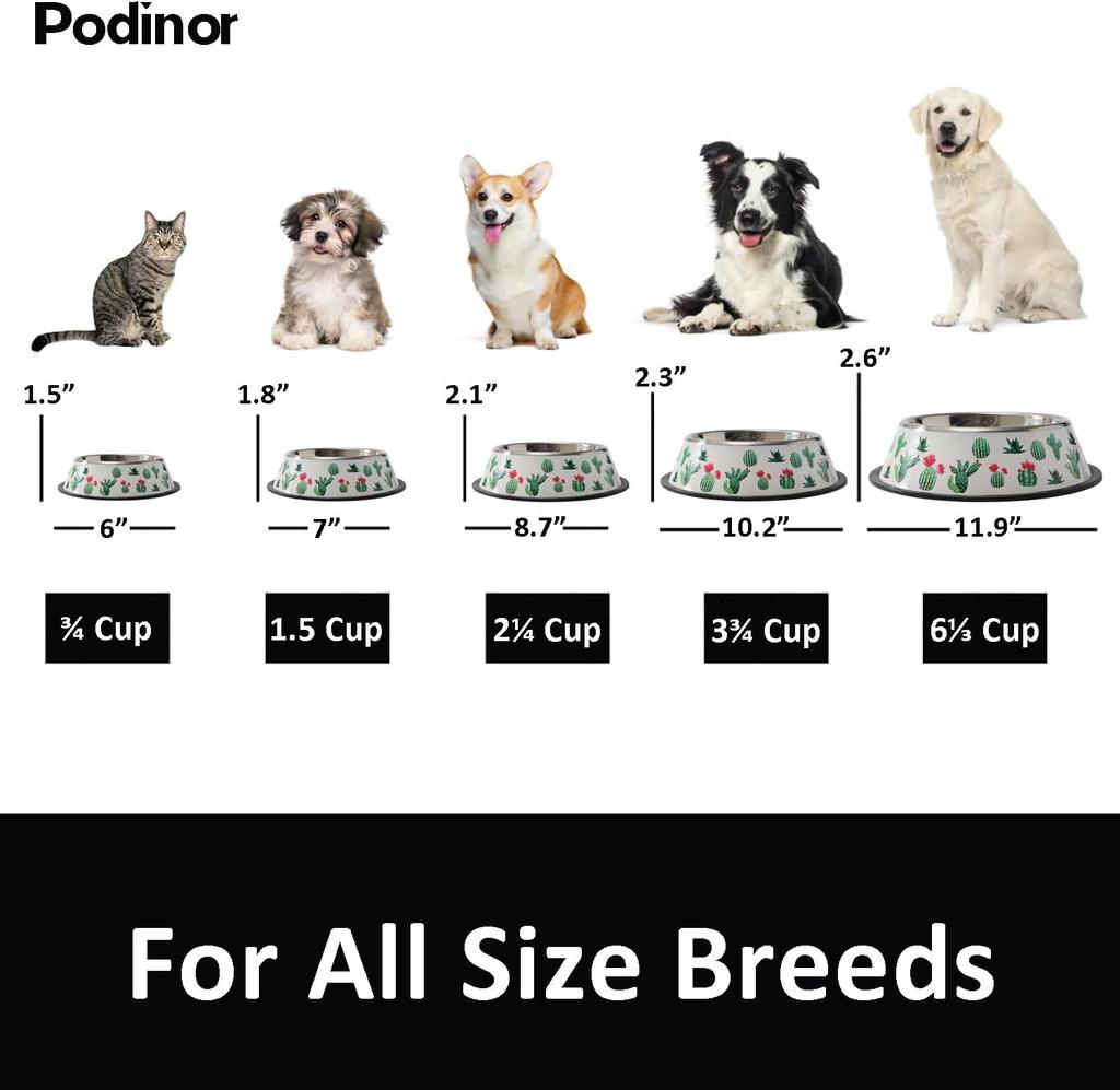 Set of 2 Heavy Duty Stainless Steel Dog Bowls with BPA-Free Rubber Base Dishwasher Safe Accessorized Spoon for Feeding Dogs Cats