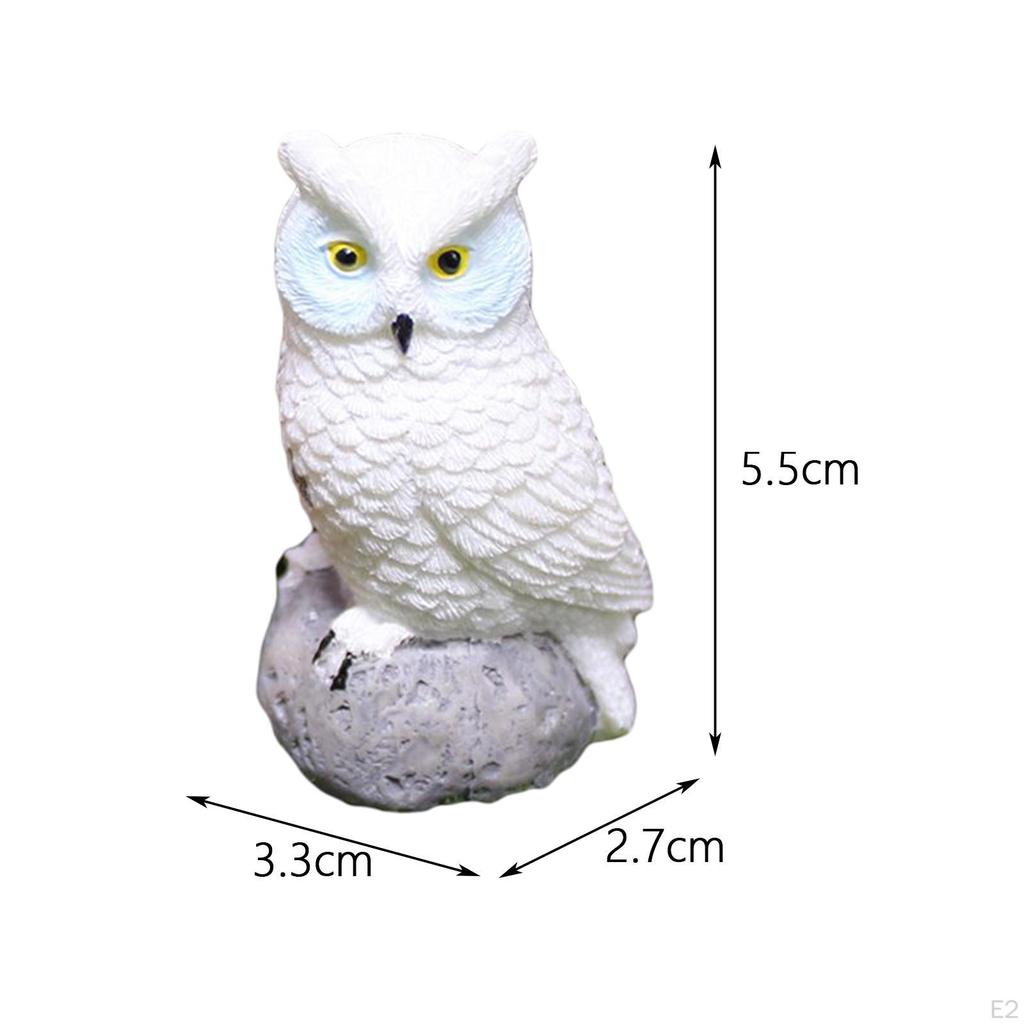 4Pcs Miniature Owl Figurines Mini Owls for Bonsai Craft Decor Micro Landscape