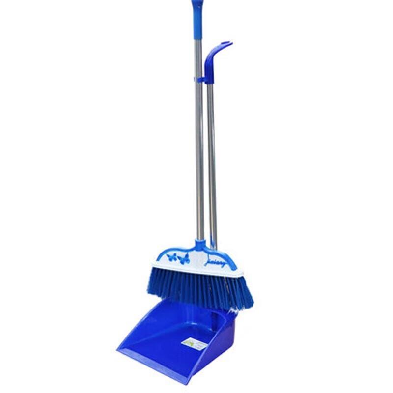 Homeglen Broom & Dustpan Set