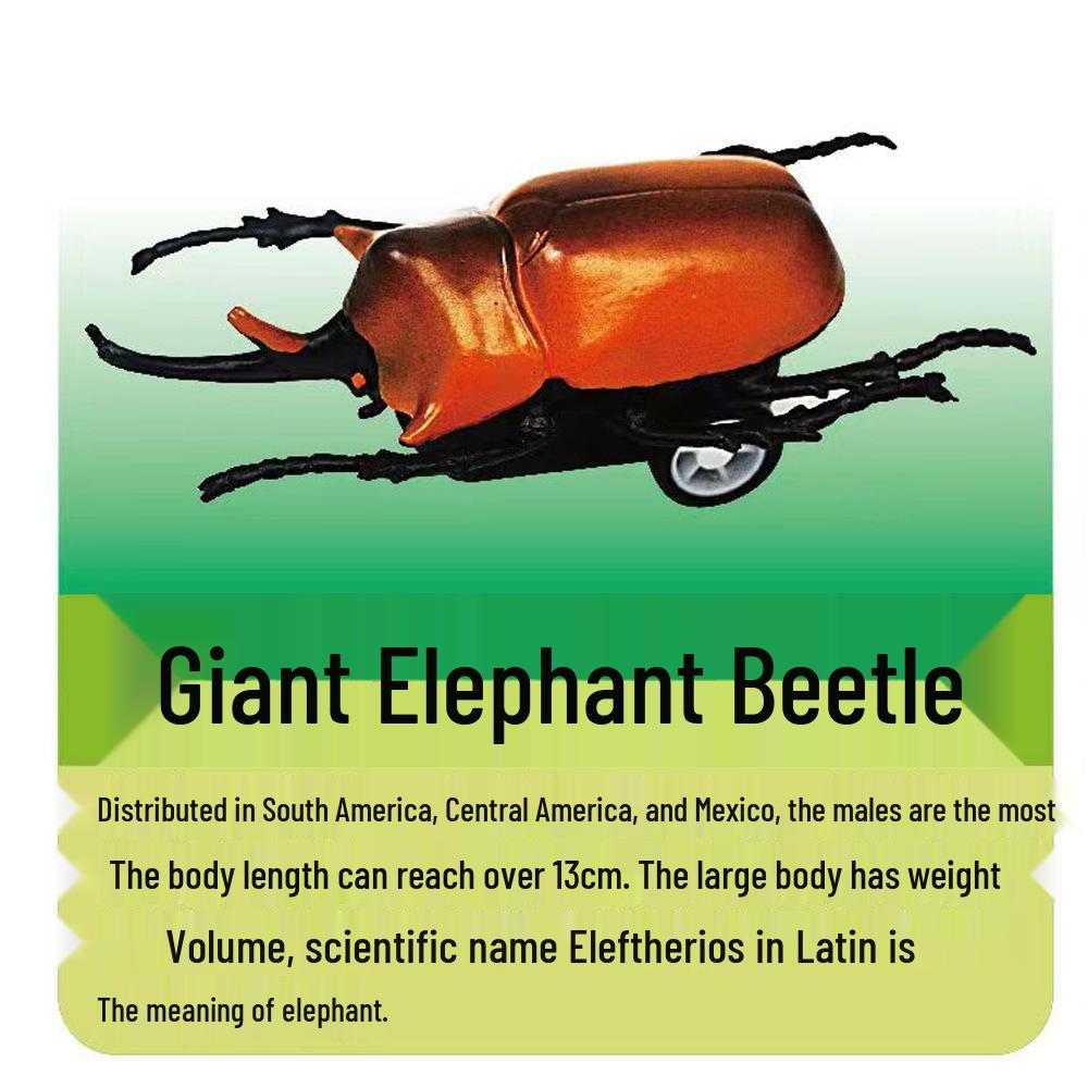 

Трансграничная модель животного насекомого, инерционная игрушечная машинка - Носорог, Олень, Жуки-единороги для детей